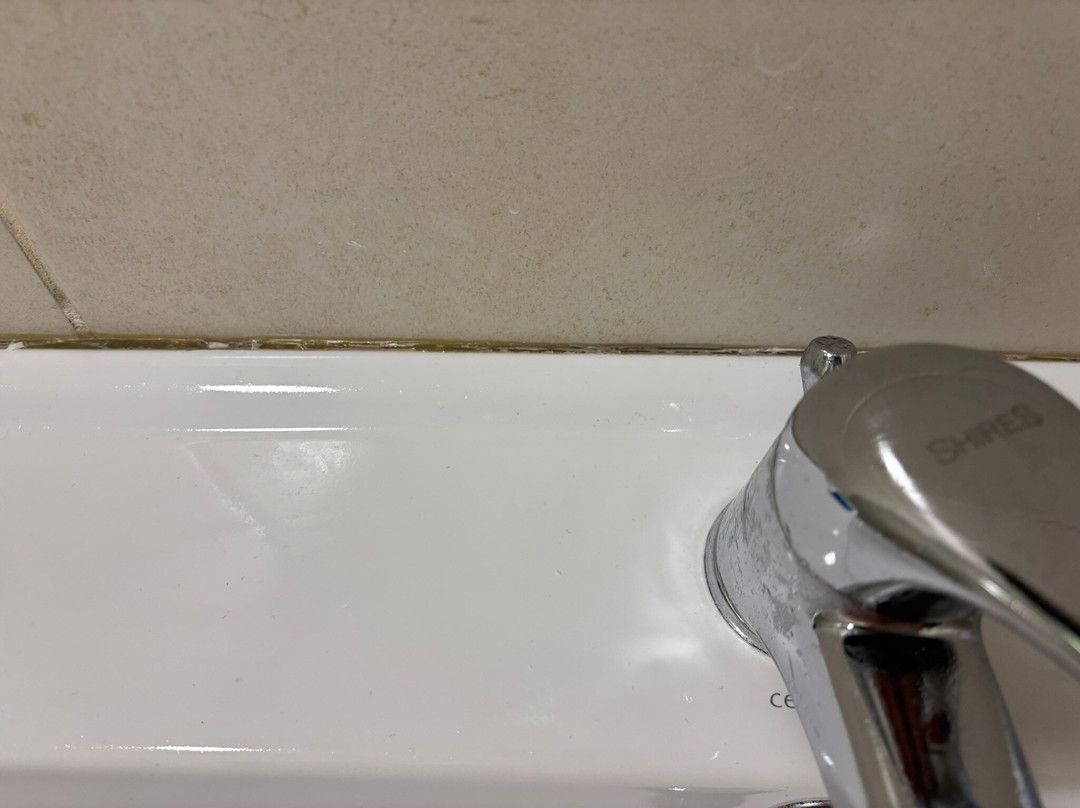 怀特女士酒店主图