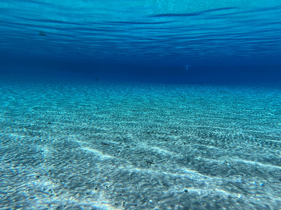 Silver Glen Springs Recreation Area-Salt Springs必去景点