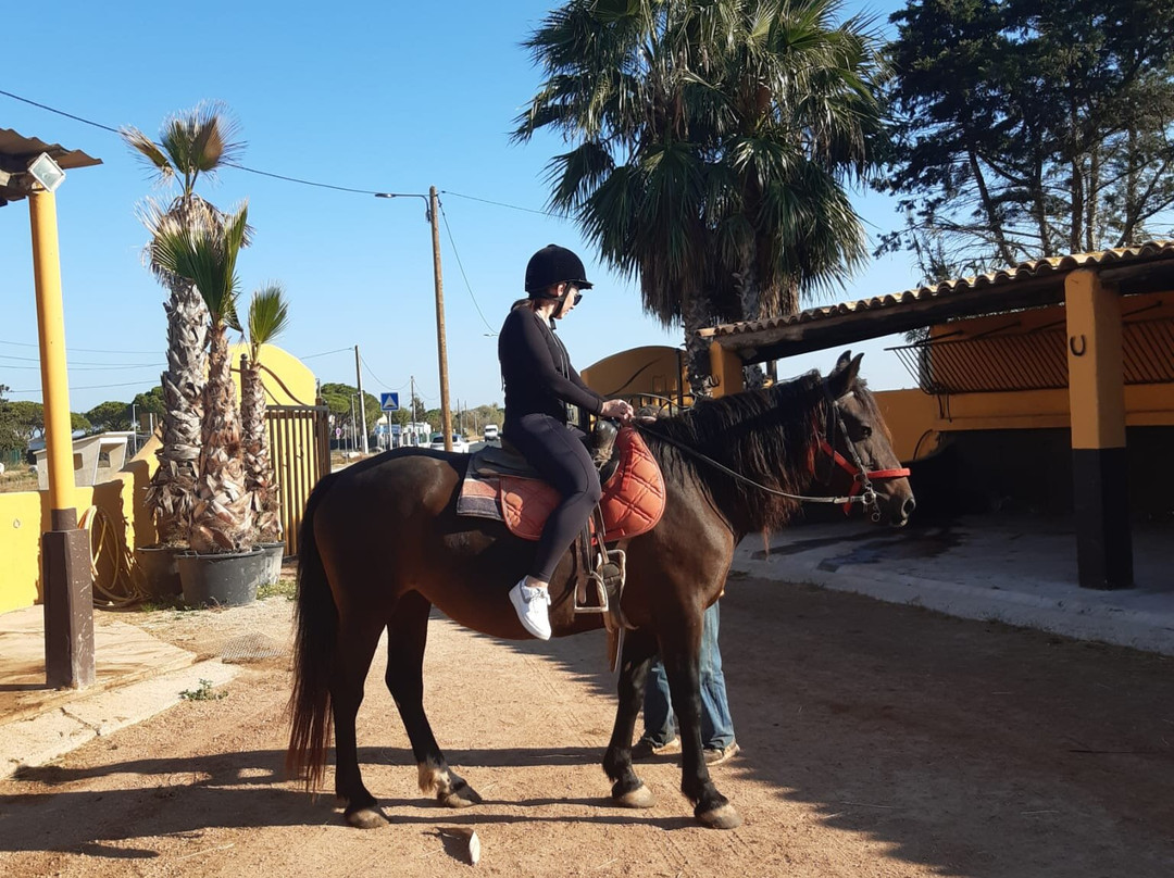 Ranch La Camargue-Marseillan Plage必去景点