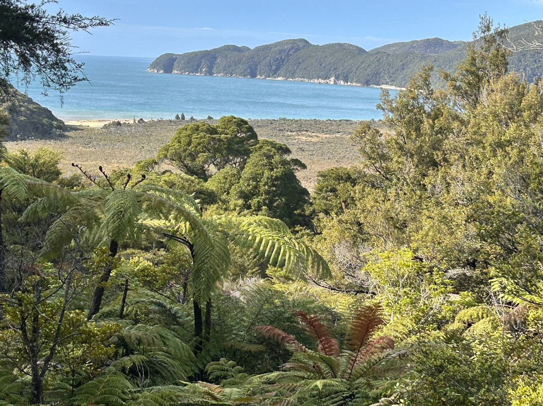 Abel Tasman Guides-玛拉豪必去景点