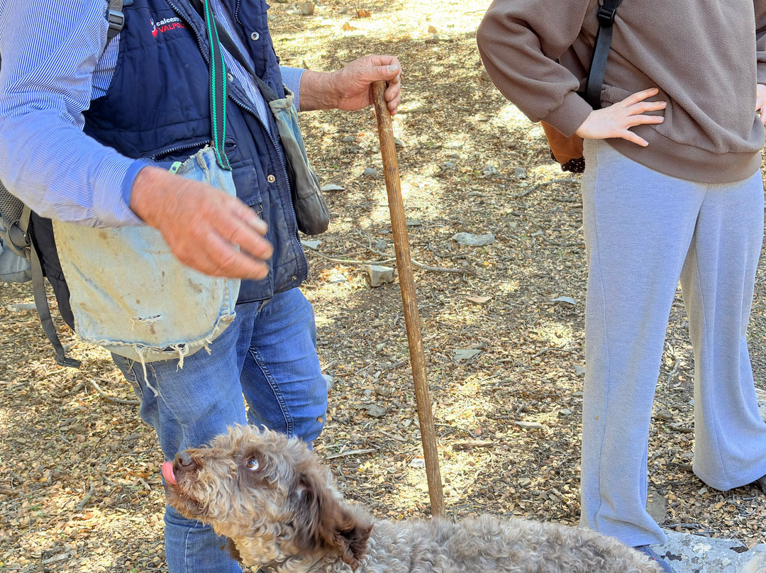 Truffle Hunter Rouvas Crete-伊拉克利翁必去景点