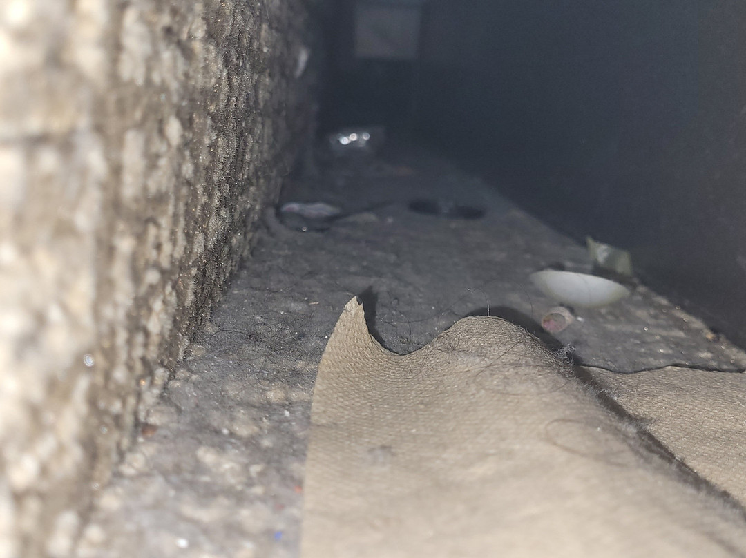 舒适套房酒店主图