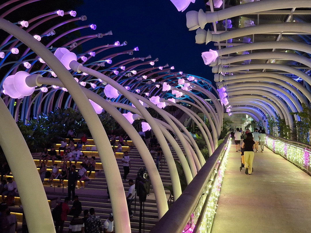 Sentosa SensoryScape-新加坡必去景点