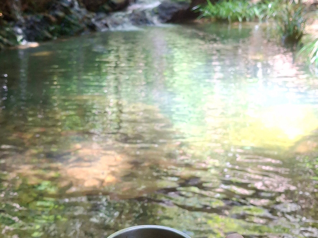 Panbil Nature Reserve-巴淡岛必去景点