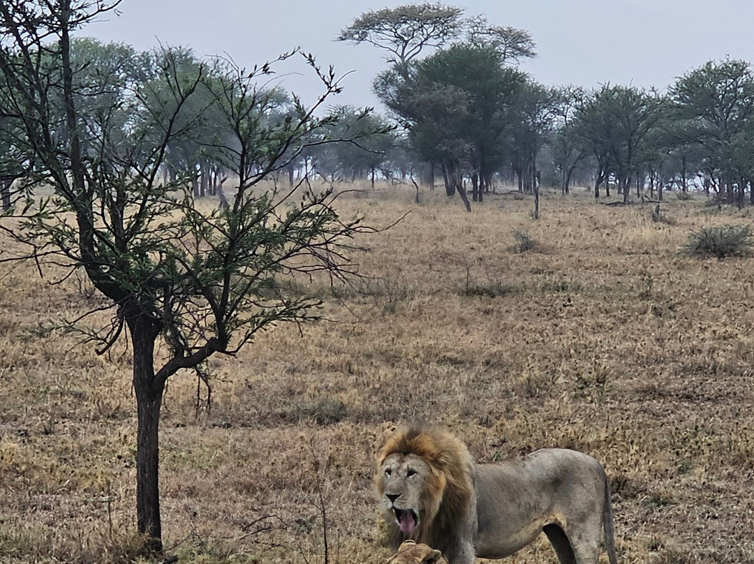 White Snow Travel-坦噶必去景点