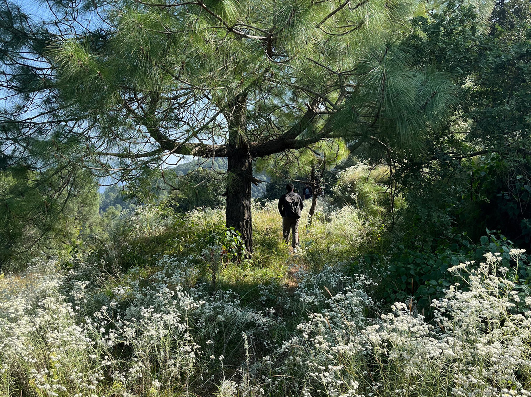 Renz Himalayan Retreat主图