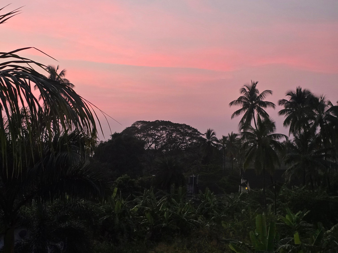 Treat Beach Resort & Spa主图