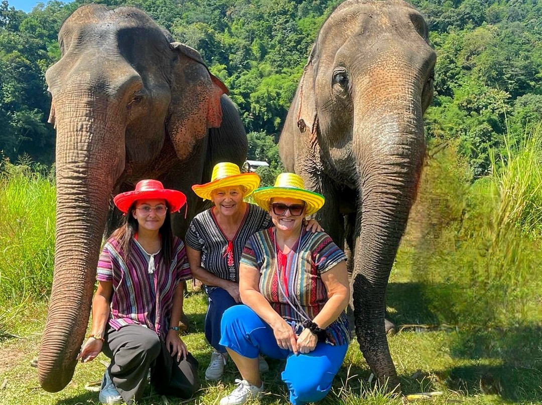 Doi Lom Elephant Rescue Sanctuary-夜登必去景点