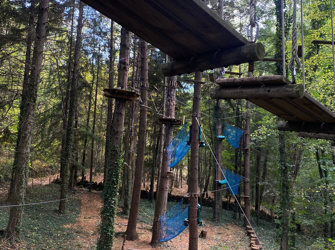 Accroche Toi Aux Branches-瓦隆蓬达尔克必去景点