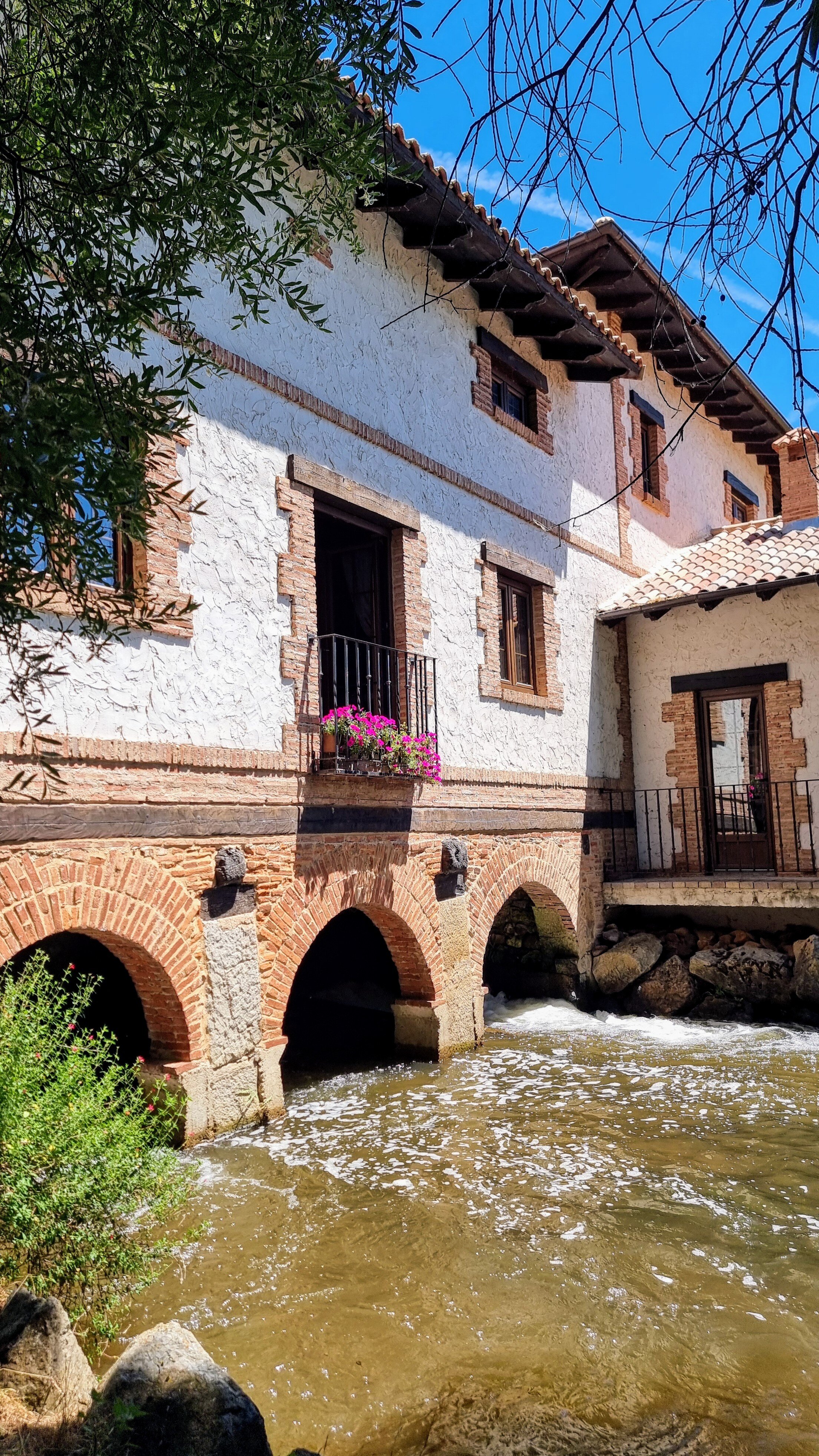 Molino Galochas-官方