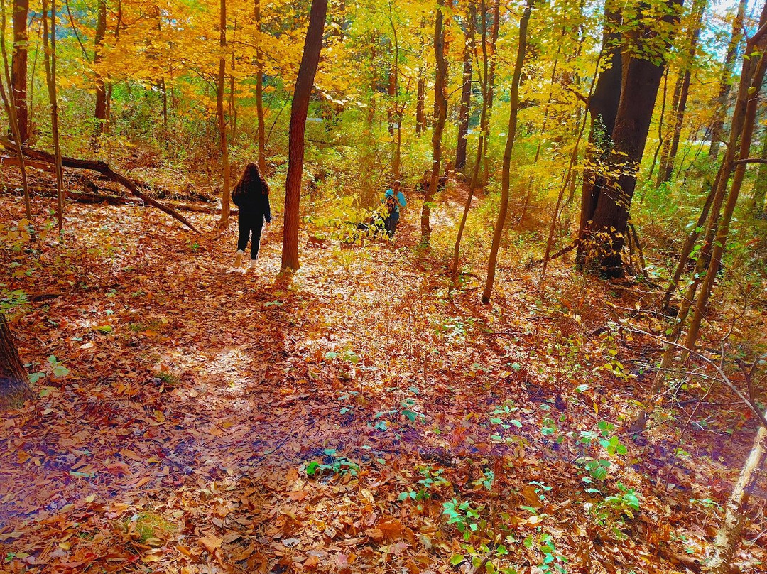 Bushy Run Battlefield-Jeannette必去景点