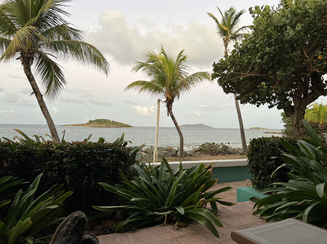 Tamarind Reef Beach-Christiansted必去景点