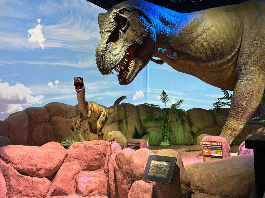 Greensboro Science Center-戈尔兹伯勒必去景点