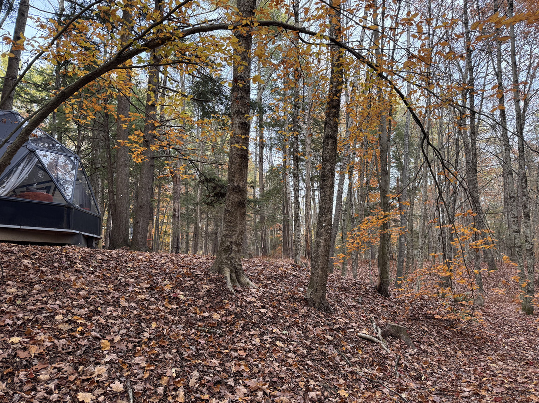 Desert Of Maine-弗里波特必去景点