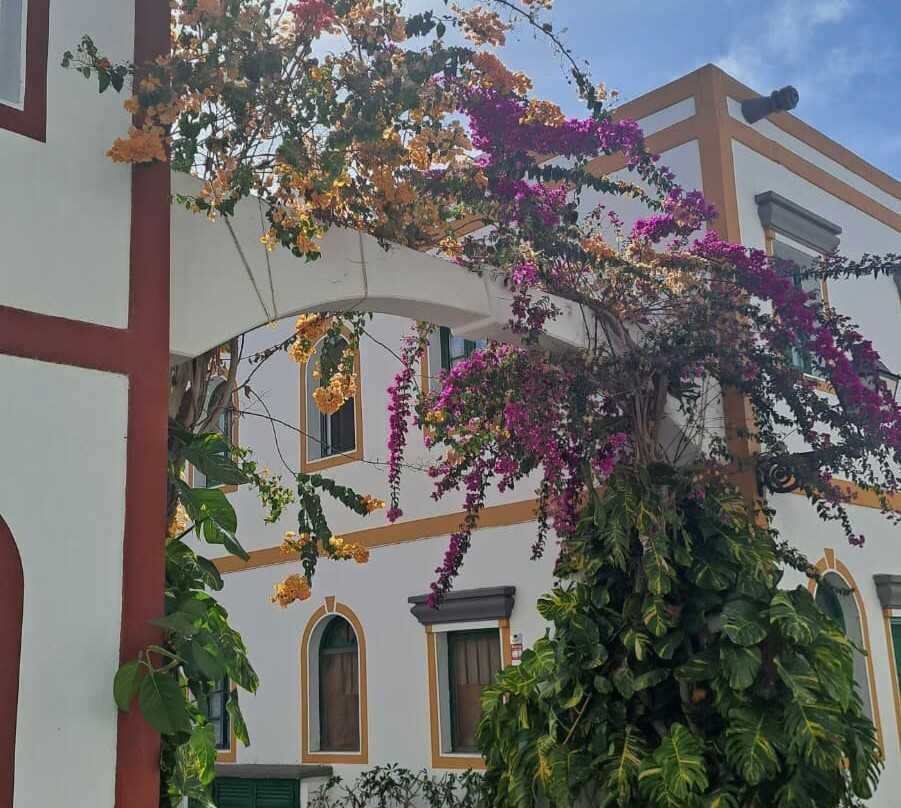 Puerto De Mogán-莫干港必去景点