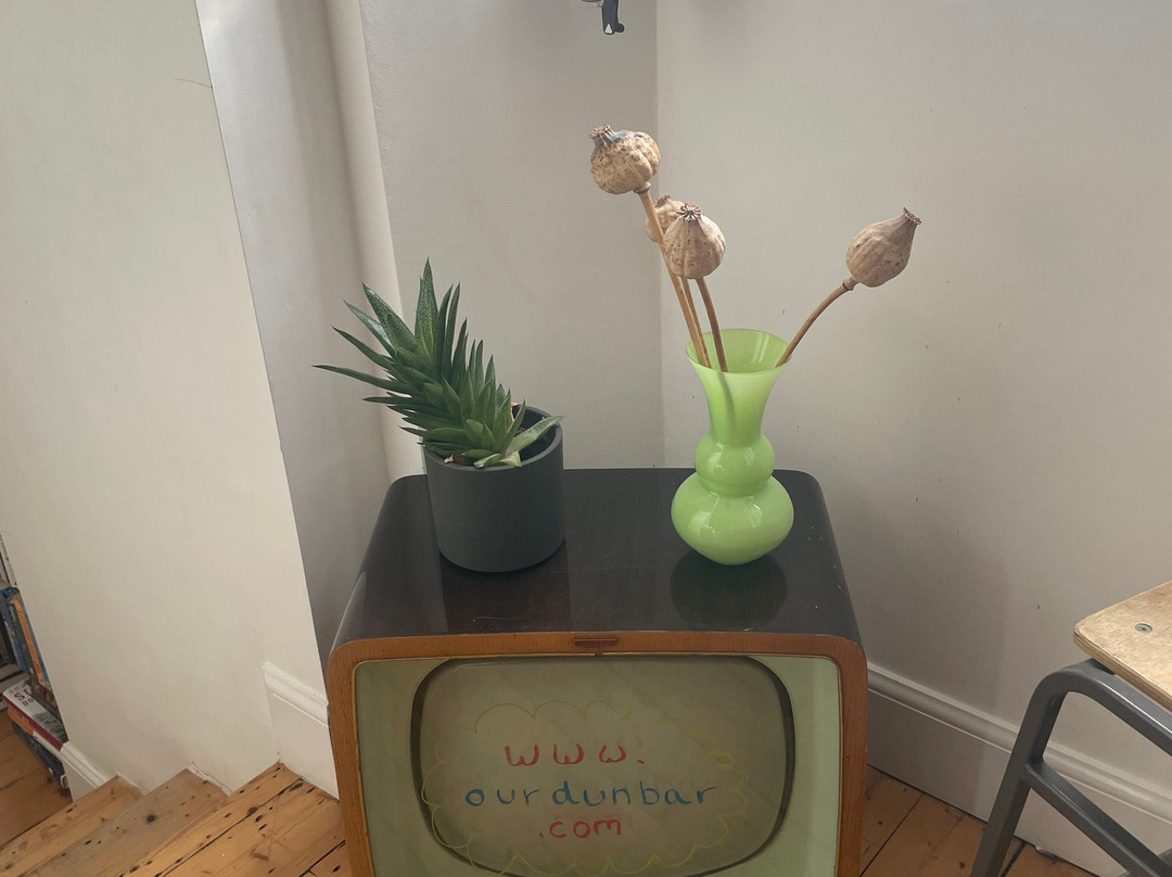 The Dolphin Inn主图