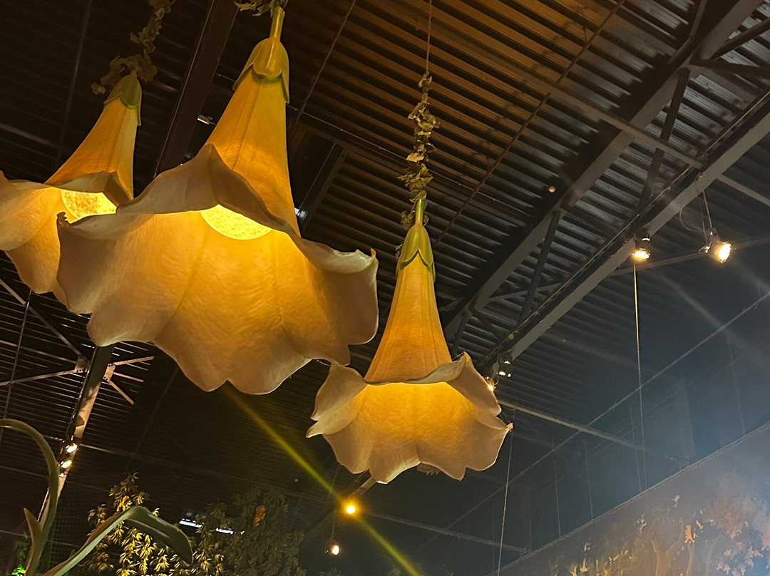 Plopsaland Belgium-德潘尼必去景点