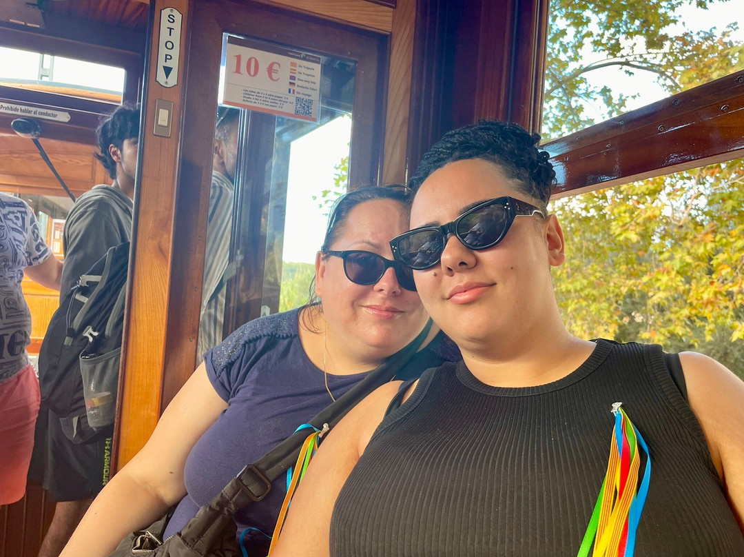 Tram de Sóller-索列尔港必去景点