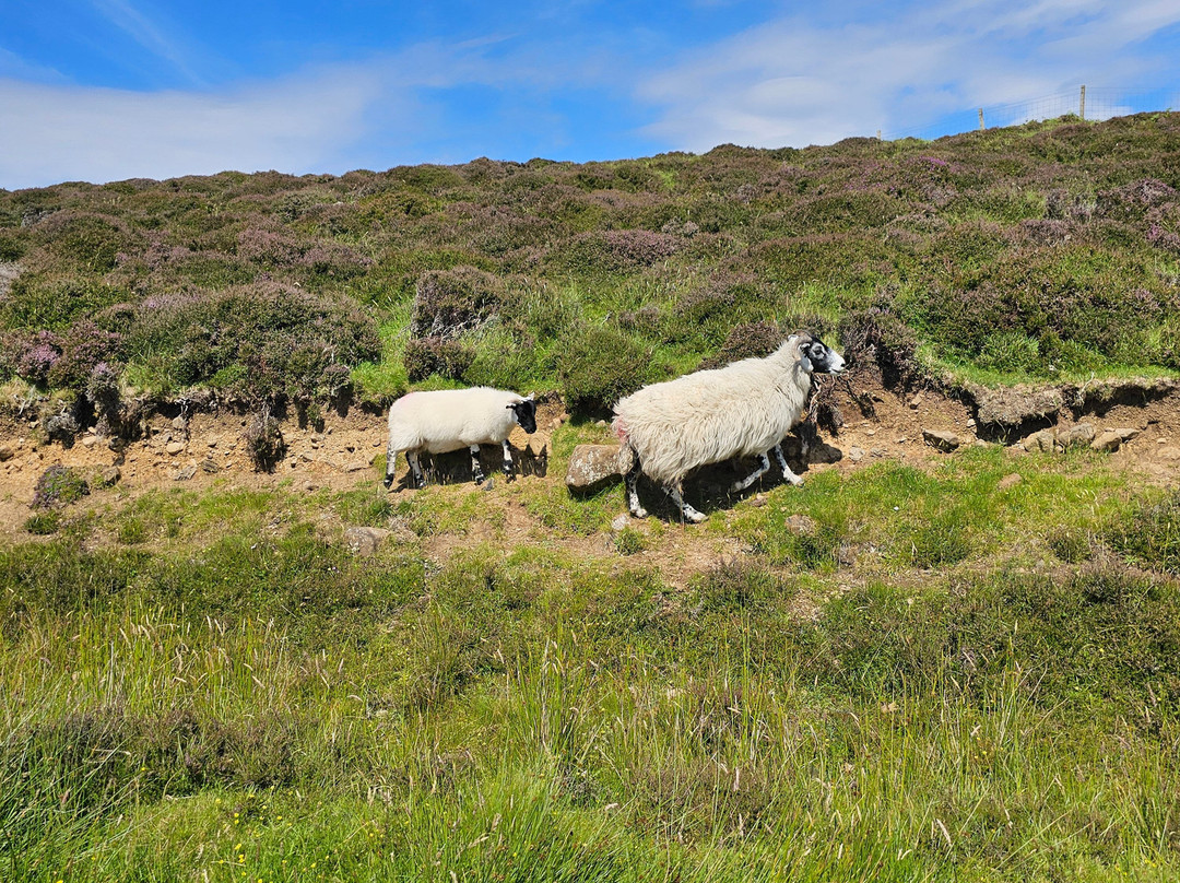 Duntulm Castle-Duntulm必去景点