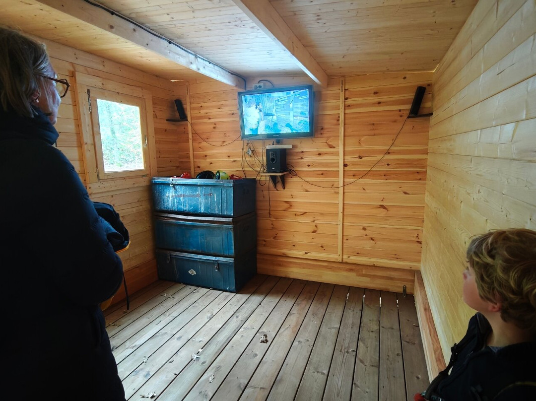 Foret Adrenaline-卡纳克必去景点