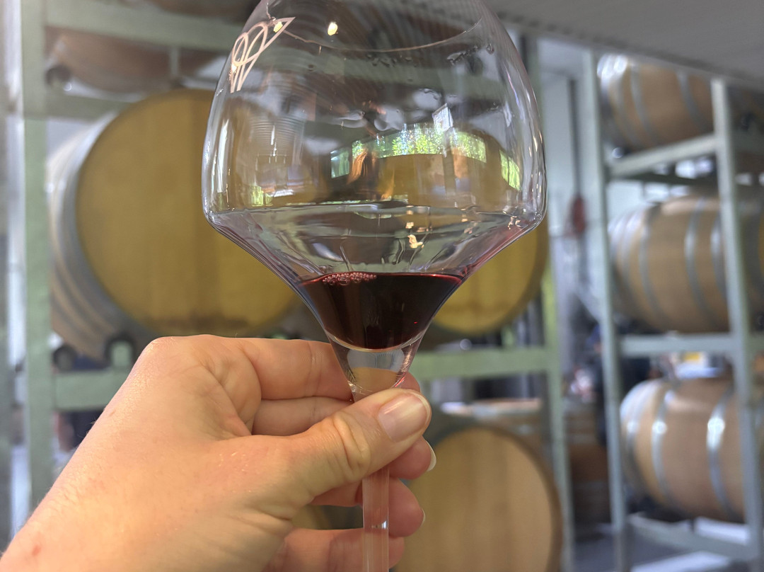 Wine Fairy Events-波高尔宾必去景点