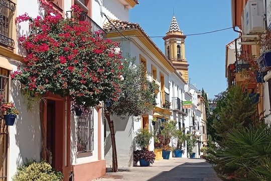 Explore Estepona