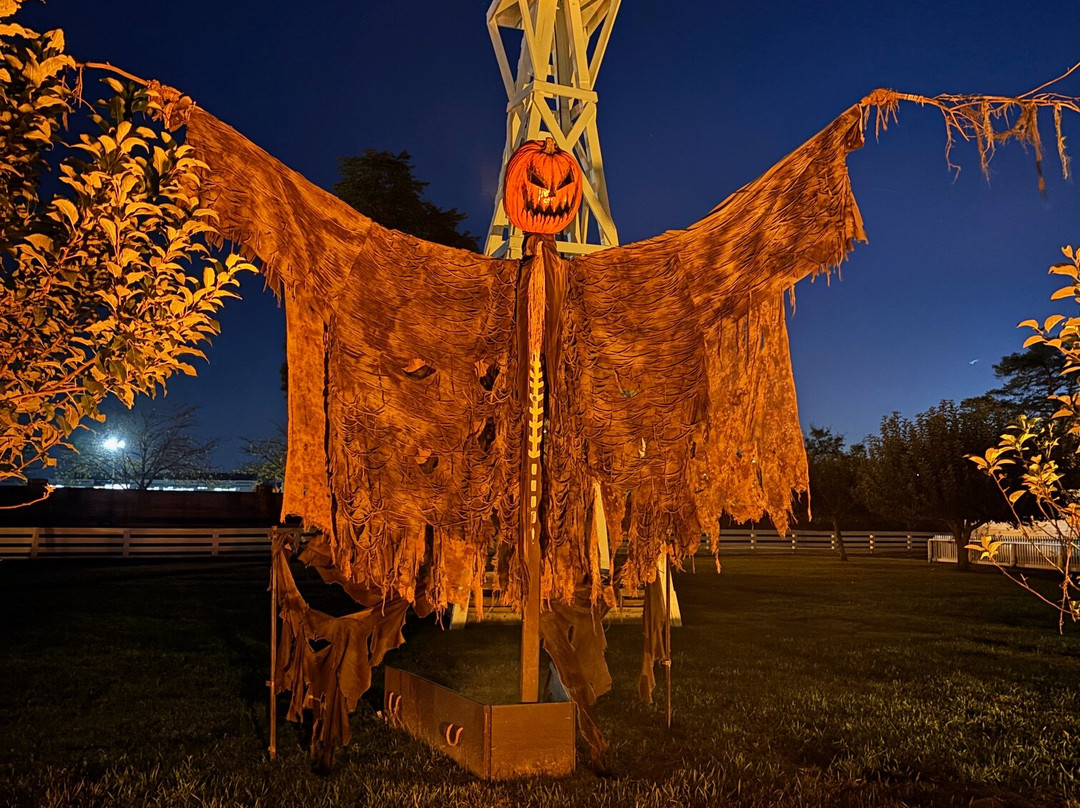 格林费德村-迪尔伯恩必去景点