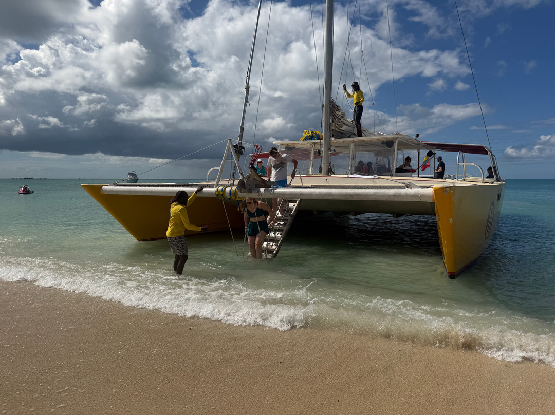 Wadadli Cats-安提瓜必去景点