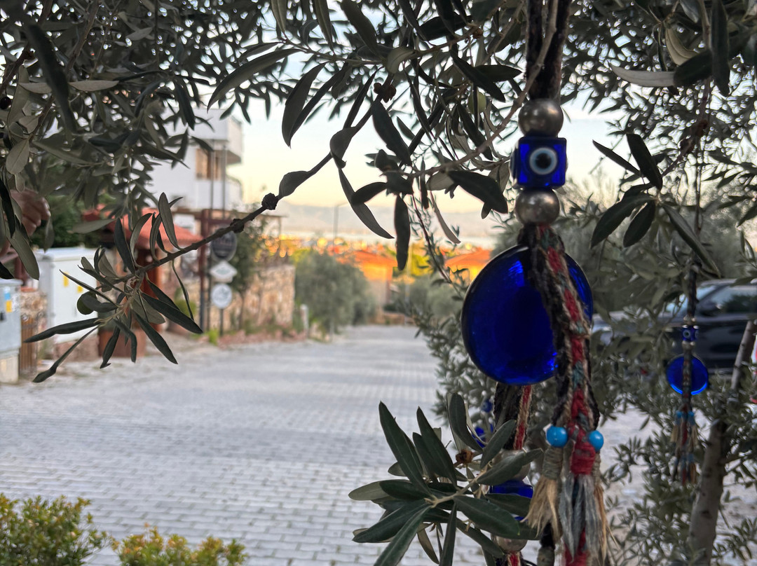 1774 Kazdagi Termal Butik Otel主图