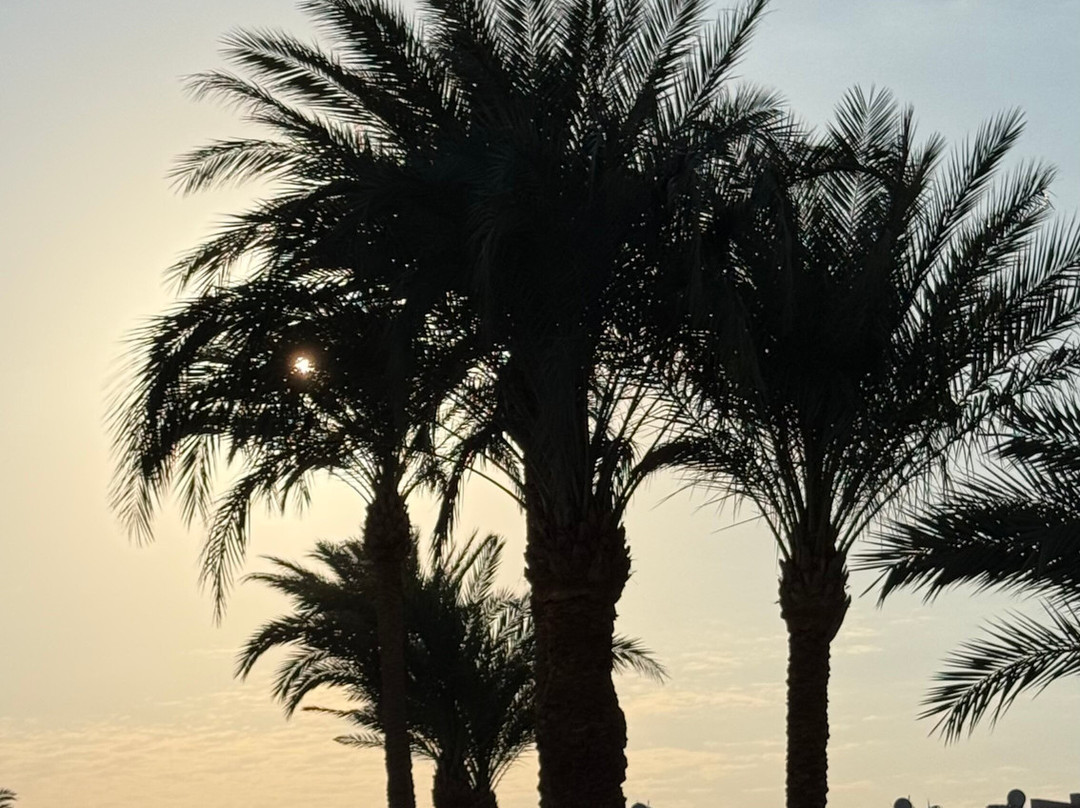 Orca Dive Club Safaga-Safaga必去景点