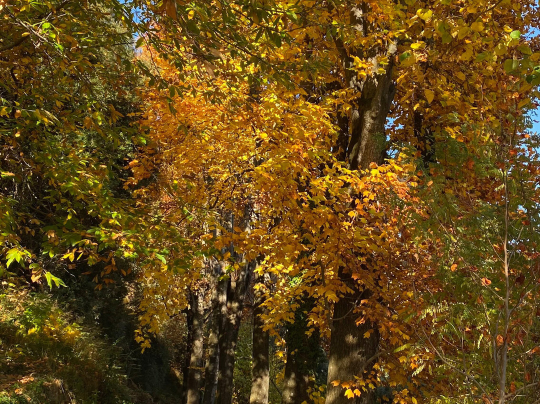 Parco della Burcina-Pollone必去景点
