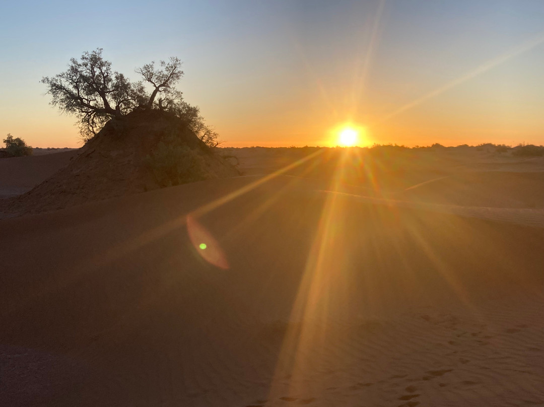 Wild Morocco-扎古拉必去景点