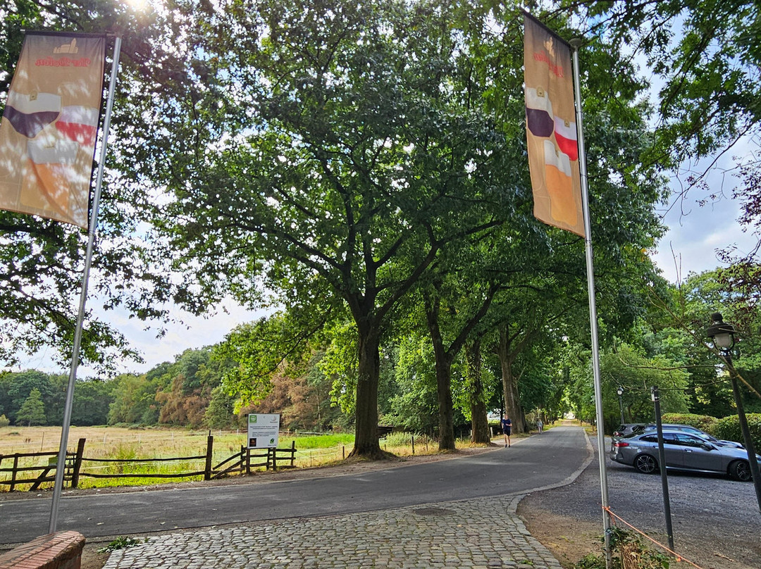 Ter Dolen-Houthalen必去景点