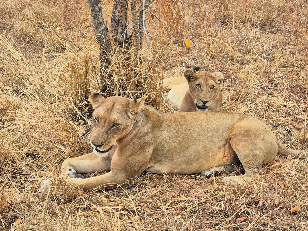 NICE ADVENTURE SAFARI-Dar es Salaam必去景点