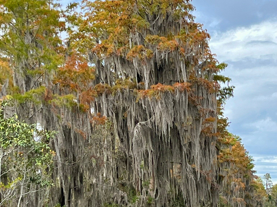 Okefenokee Adventures-Folkston必去景点