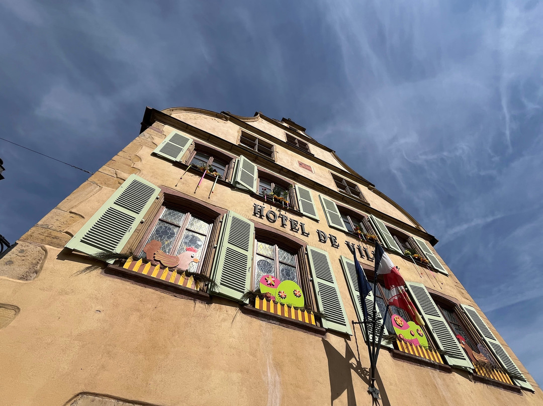 Hotel de Ville (Mairie)-图克汉必去景点