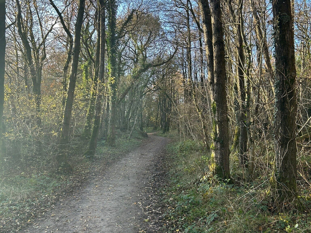 Watchtree Nature Reserve-卡莱尔必去景点