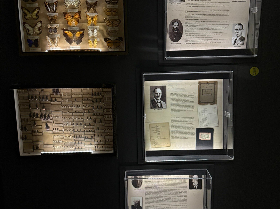 Natural History Museum-里耶卡必去景点