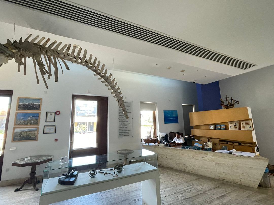Thalassa Municipal Museum-阿依纳帕必去景点