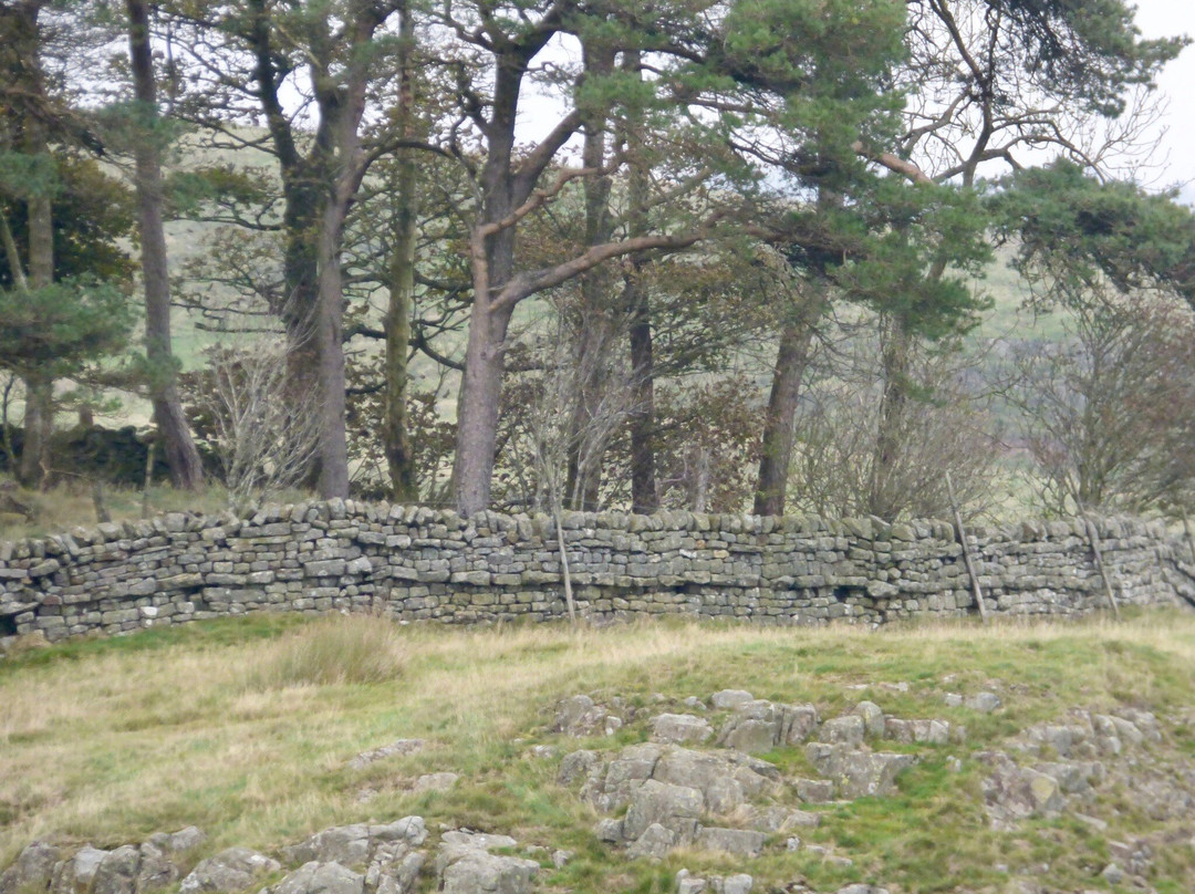 Housesteads Roman Fort - Hadrian's Wall-Haydon Bridge必去景点