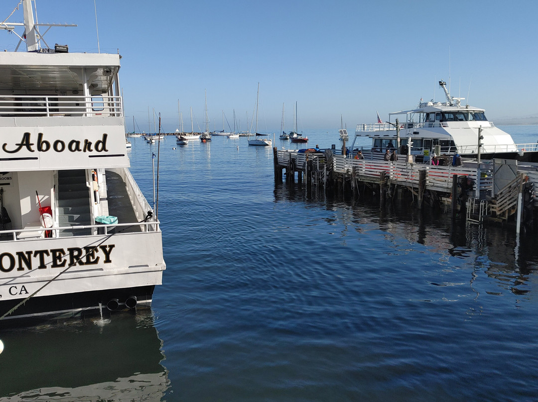 蒙特雷湾观鲸之旅-蒙特雷必去景点