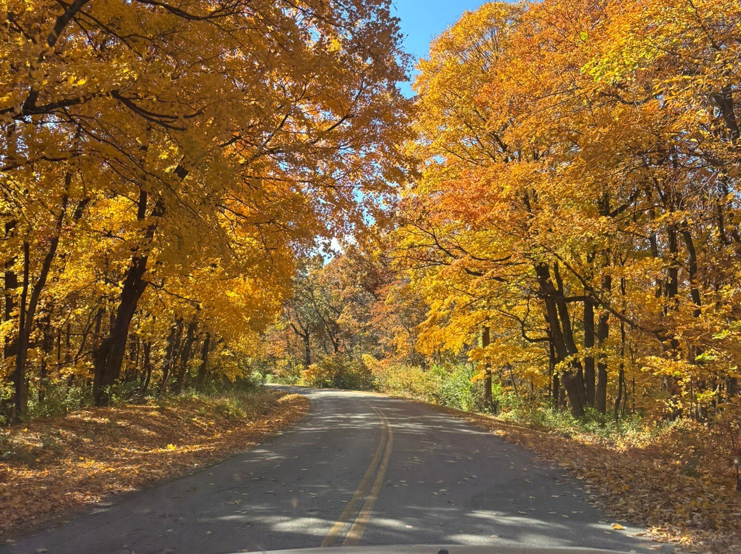Pere Marquette State Park-Grafton必去景点