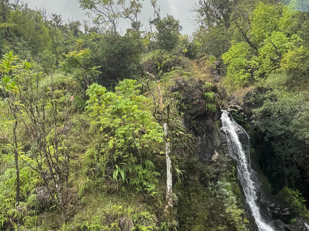 Hawaii Tours-火奴鲁鲁必去景点