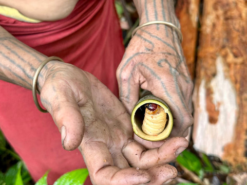 Mentawai Tribe Tour Specialist-Siberut必去景点