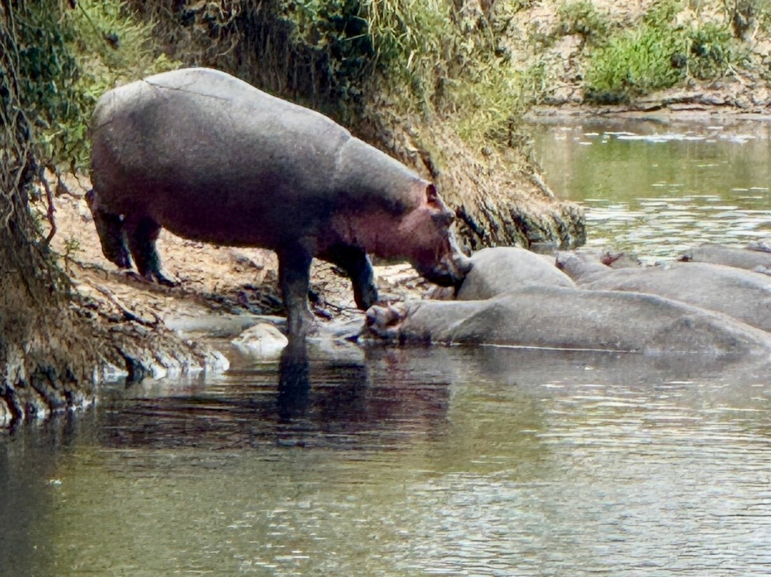 Long Way Expeditions-阿鲁沙必去景点