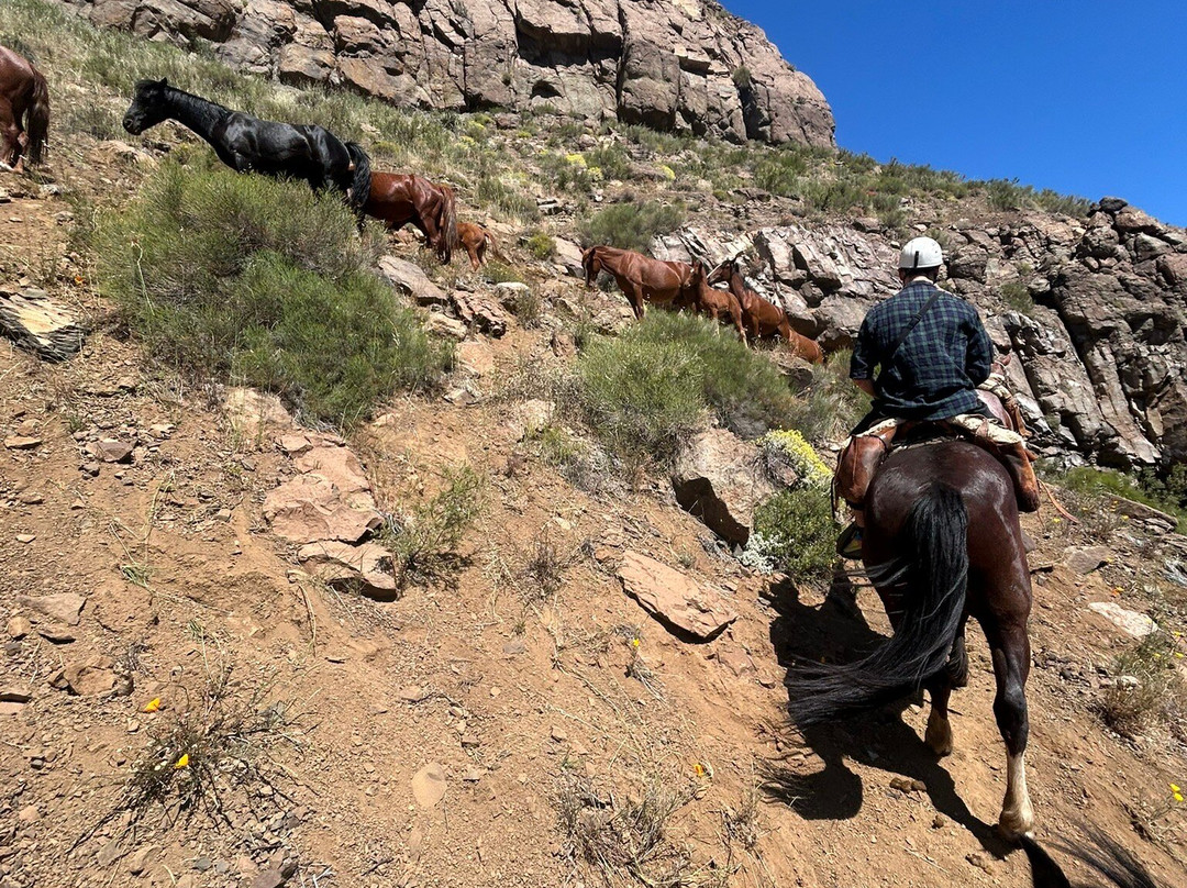 Cascada de las Animas-圣阿方索必去景点
