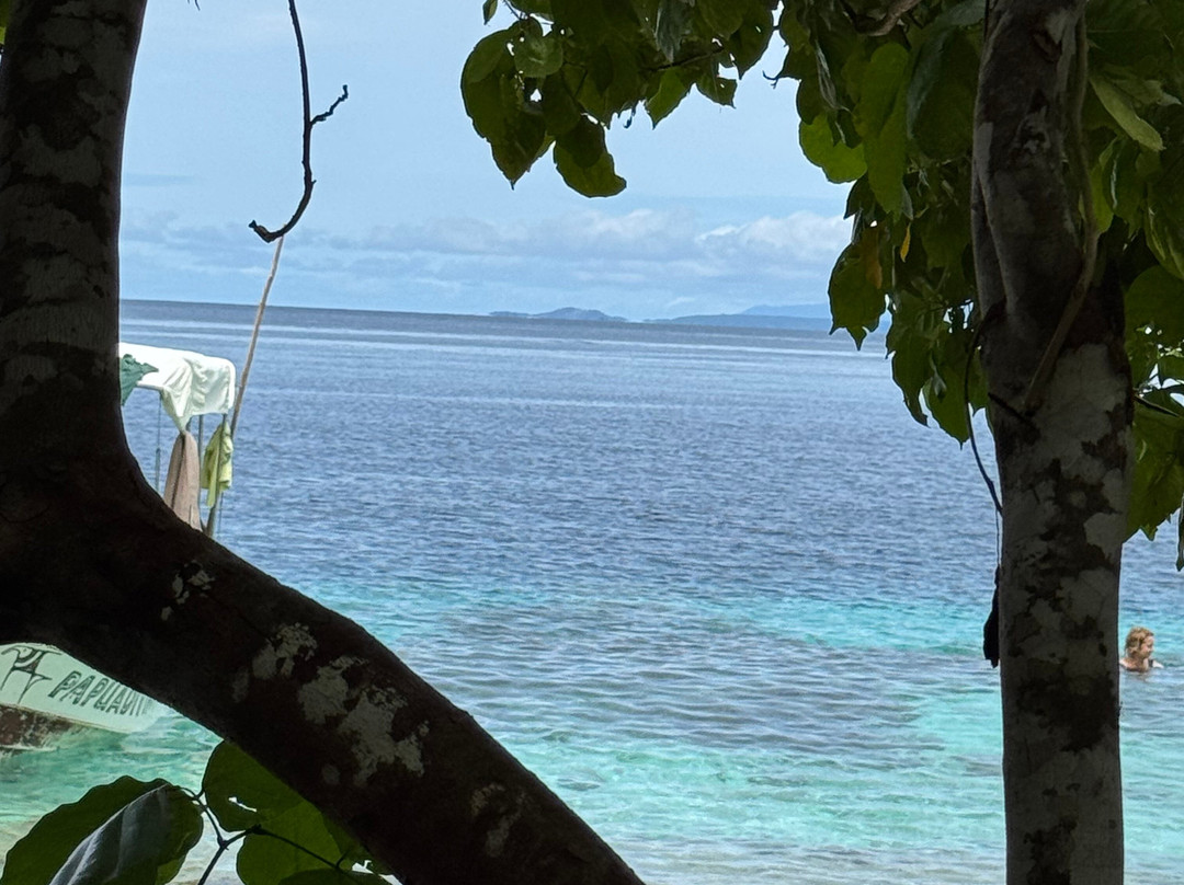 Papua Diving-Kri Island必去景点