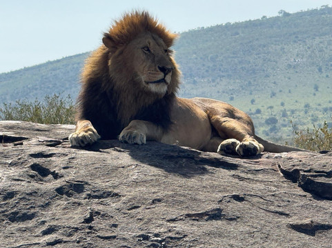 Malee Safaris-内罗毕必去景点