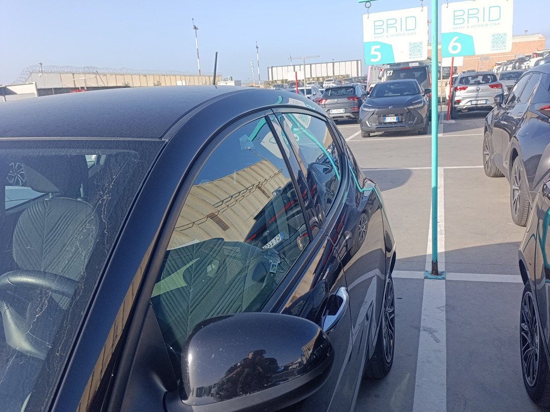 Brid Hybrid Car-Cinisi必去景点