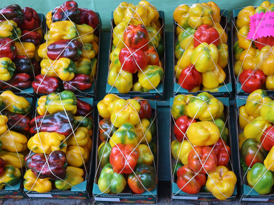 Sagra del Peperone-Carmagnola必去景点